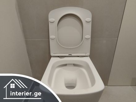 ჩასაშენებელი უნიტაზის მონტაჟი: ყოვლისმომცველი, პრაქტიკული და თანამედროვე სახელმძღვანელო